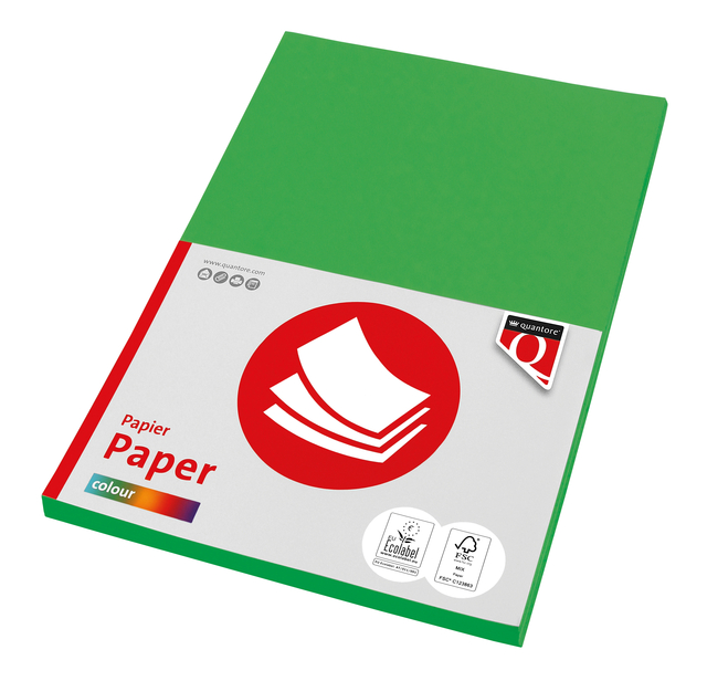 Kopieerpapier Quantore Colour A4 120gr grasgroen 100vel